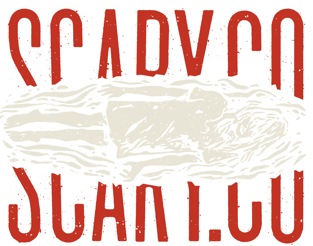 scary.co logo