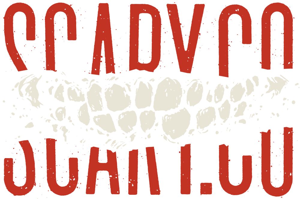 scary.co logo