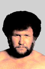 Harley Race
