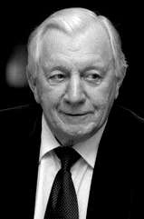 Georgiy Shtil profile picture
