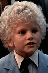 Ben Ryan Ganger profile picture