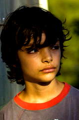 Lauro Veron profile picture