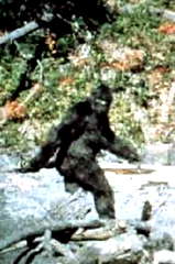 Bigfoot profile picture