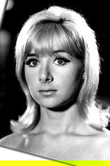Angela Douglas profile picture