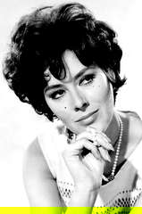 Sue Lloyd profile picture