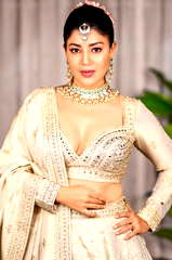 Debina Bonnerjee