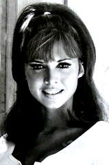 Jocelyn Lane profile picture