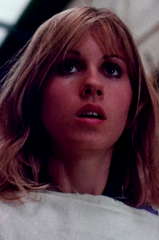 Robin Evans profile picture