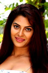 Kashish Singh profile picture