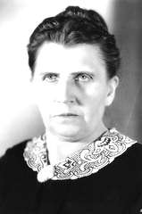 Mary Foy profile picture