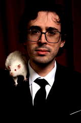 Will Wood profile picture