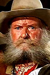 Bill Borzage profile picture