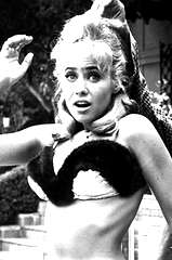 Bobbie Shaw Chance profile picture