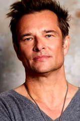 David Hallyday