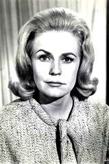 Diana Van der Vlis profile picture