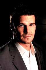 David Boreanaz profile picture