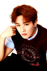 Li Wenhan profile picture