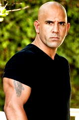 Tony Flores profile picture