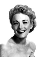 Ann Sears profile picture