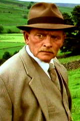 Michael Lees profile picture