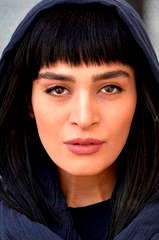 Andisheh Fouladvand profile picture