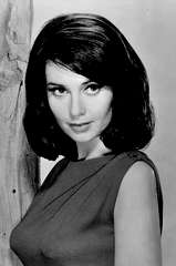Anjanette Comer profile picture