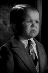 Harry Earles profile picture