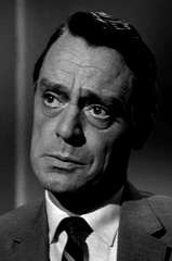 Harry Townes profile picture