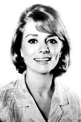 Inger Stevens profile picture