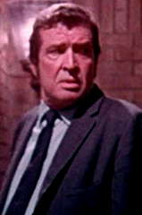 Michael Harvey profile picture