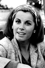 Stefanie Powers profile picture