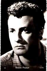 Roger Pigaut profile picture