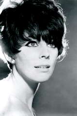 Elizabeth Knowles profile picture