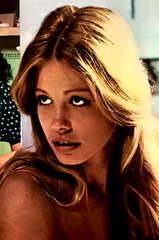 Susan Player profile picture