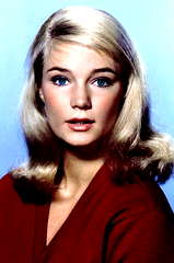 Yvette Mimieux profile picture