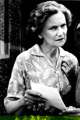 Dilys Hamlett profile picture