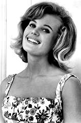 Pamela Austin profile picture