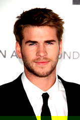 Liam Hemsworth profile picture