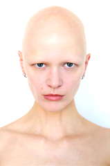 Coco Labbee profile picture