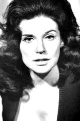 Renee Harmon profile picture