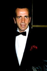 Robert Sacchi profile picture