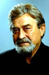 Iván Dengyel profile picture