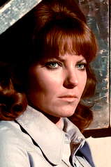 Lone Fleming profile picture