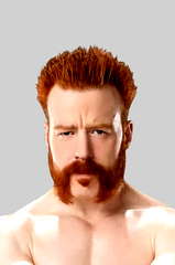 Stephen Farrelly profile picture