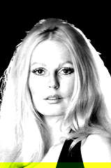 Veronica Carlson profile picture
