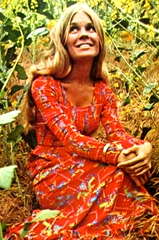 Sherry E. DeBoer profile picture