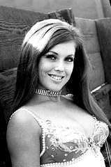 Susan McIver profile picture