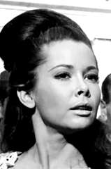 Tracy Olsen profile picture