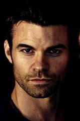 Daniel Gillies profile picture