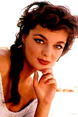 Marilyn Hanold profile picture